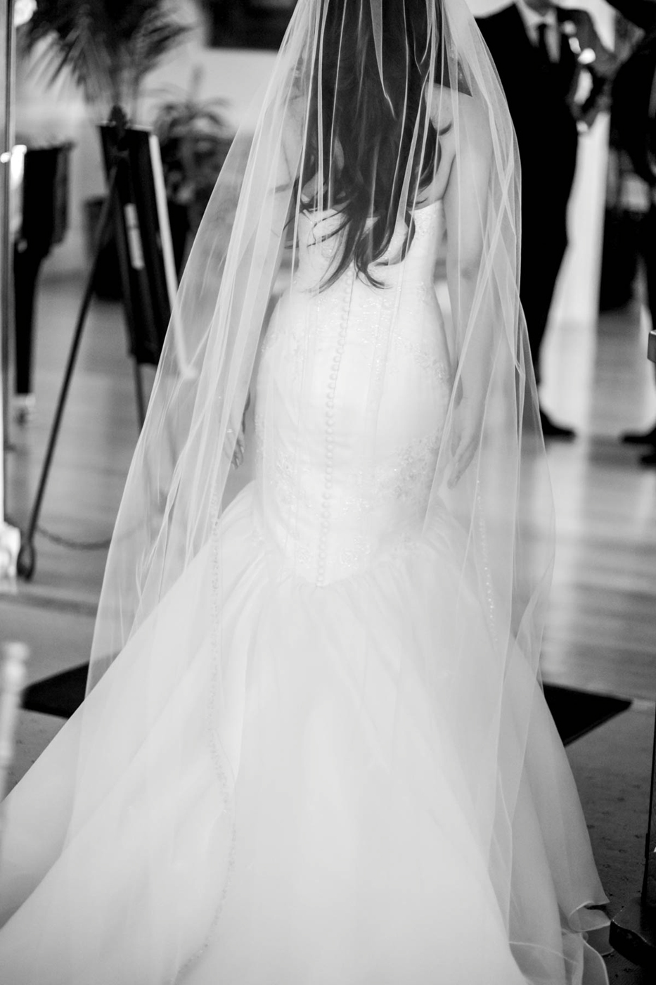 long veil wedding gown